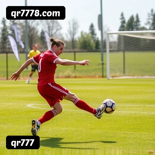 Níveis do programa VIP da qr777